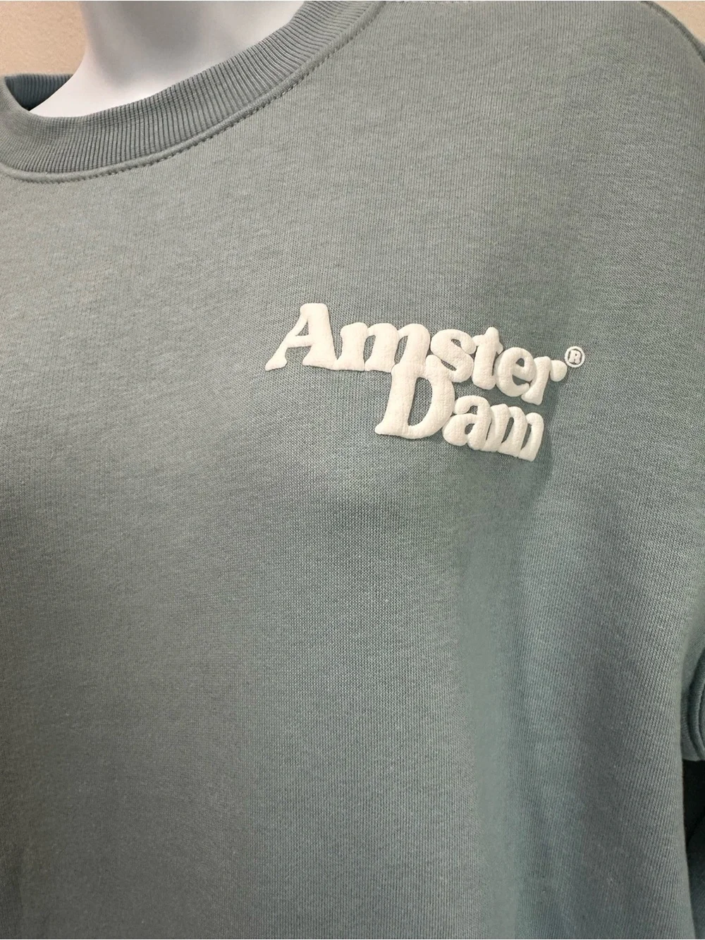 Fox Unisex Crewneck Sweatshirt in Sage Green